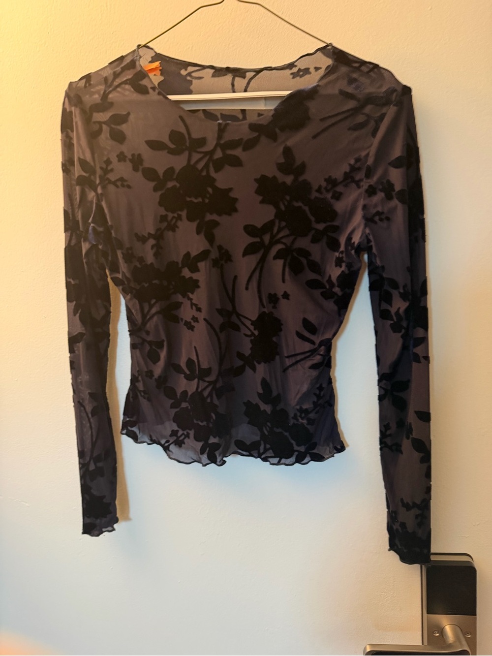 Sheer Floral Burnout Long-Sleeve Top - Blue
